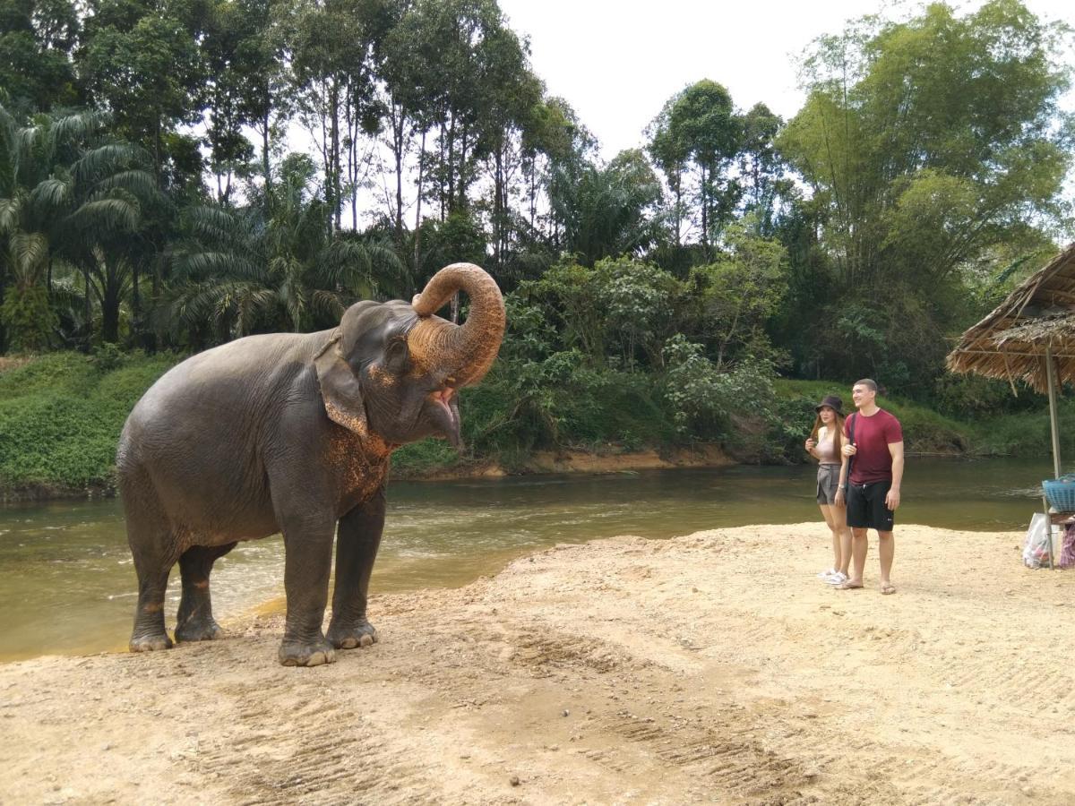 Khao Sok River & Jungle Resort Khao Sok National Park Екстериор снимка