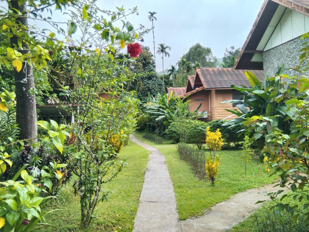 Khao Sok River & Jungle Resort Khao Sok National Park Екстериор снимка