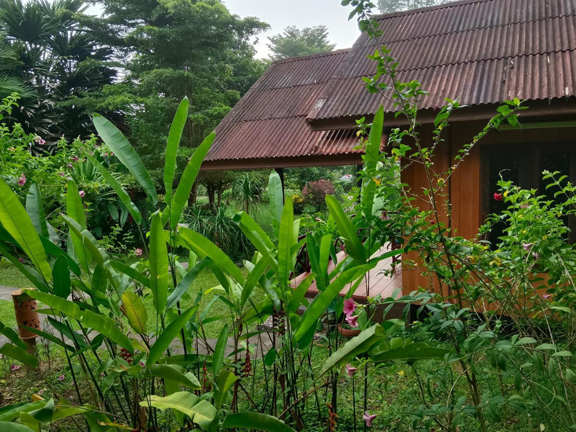 Khao Sok River & Jungle Resort Khao Sok National Park Стая снимка